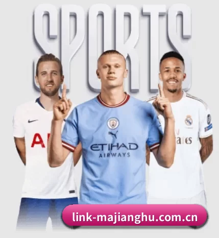 link-majianghu.com.cn的方向